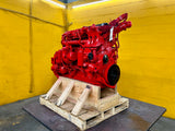 2009 Cummins ISB 6.7L Diesel Engine For Sale, CPL# 3238 (CM2150)
