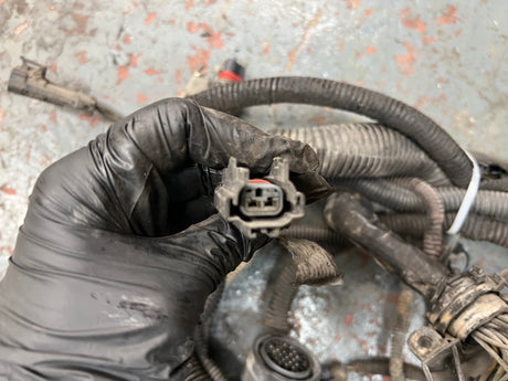 2005 Freightliner Columbia 120 Wiring Harness, FIREWALL TO ECM