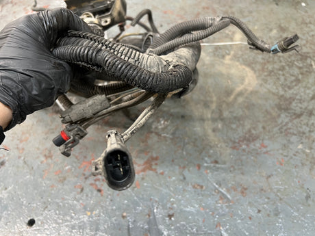 2005 Freightliner Columbia 120 Wiring Harness, FIREWALL TO ECM