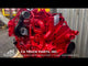 2007 Cummins ISM Diesel Engine For Sale, CM876